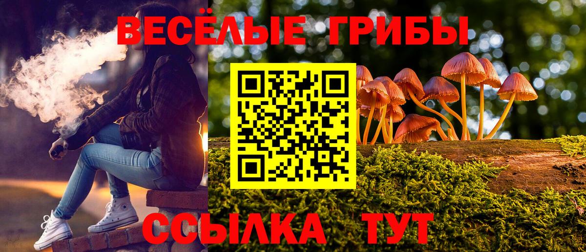 Кандалакша  Галлюциногенные грибы Magic Shrooms  Вход с VPN 