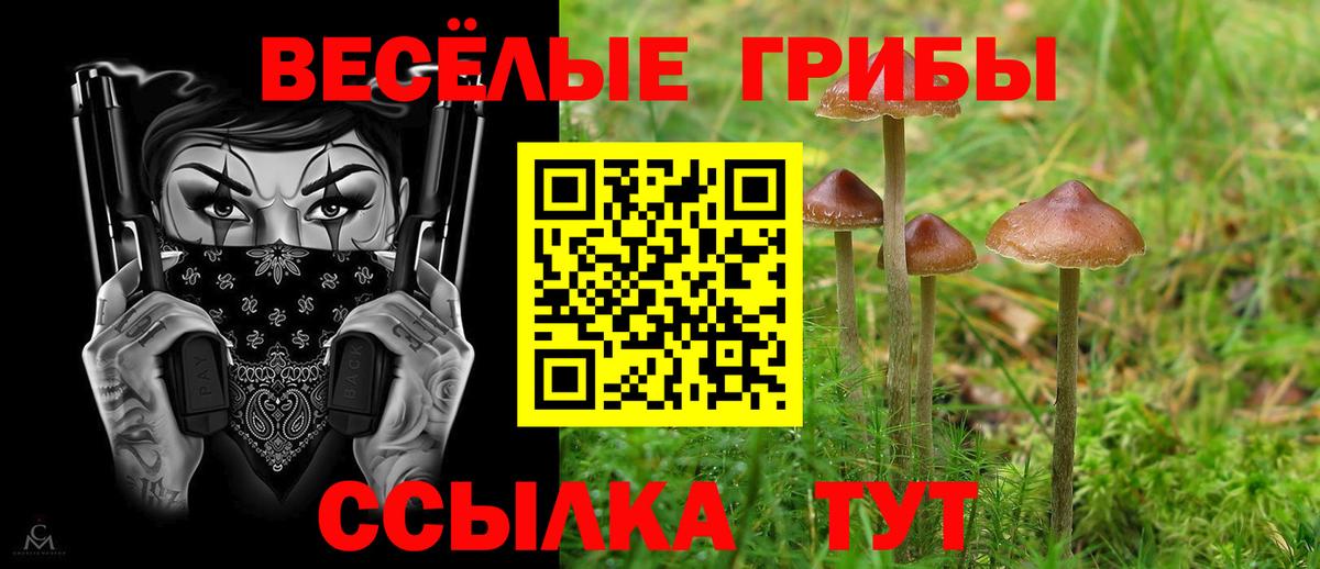 Галлюциногенные грибы MAGIC MUSHROOMS Кандалакша